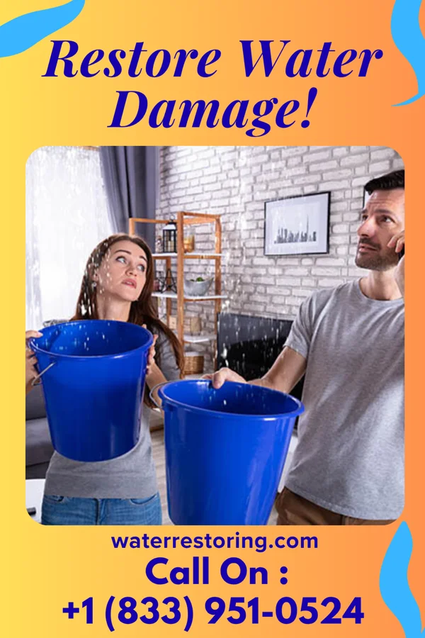 water restoration Platinum Cleanup Contractors Kingwood