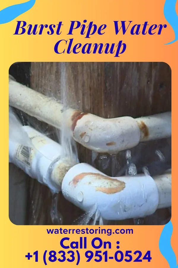 Burst Pipe Water Cleanup in Kingwood, WV