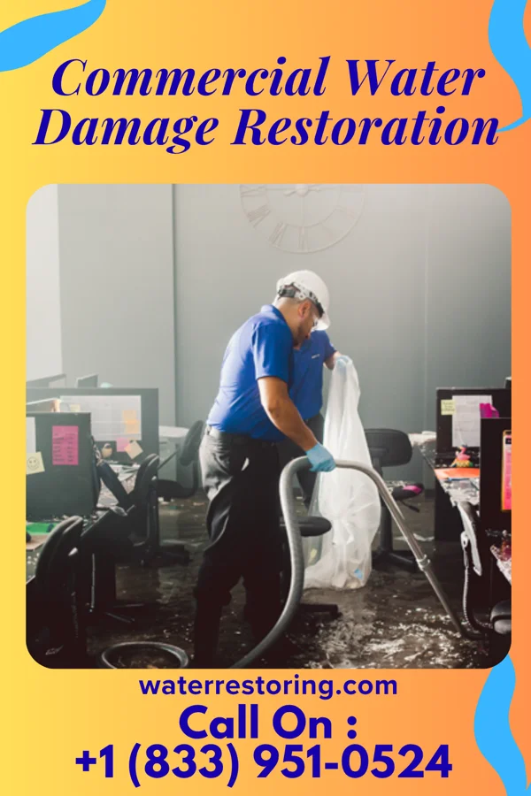 Commercial Water Damage Restoration in Kingwood, WV