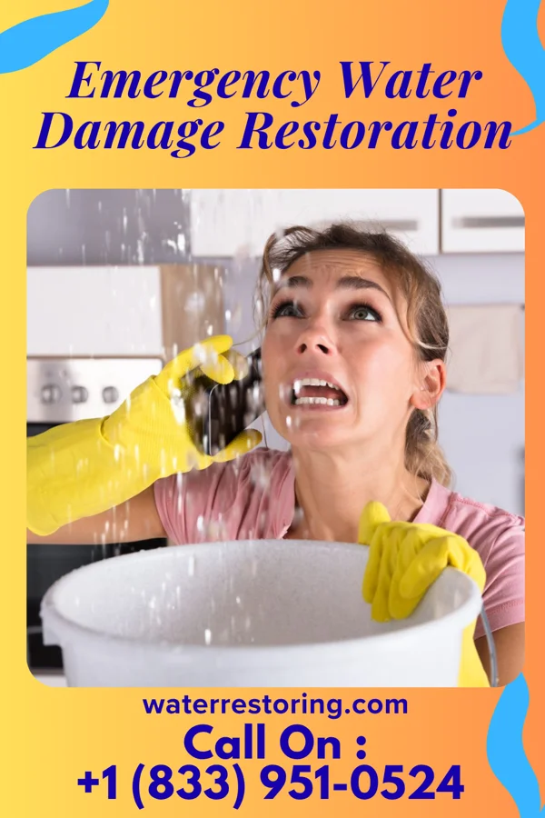 Emergency Water Damage Restoration in Kingwood, WV