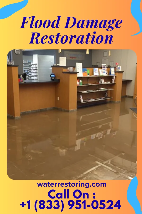 Flood Damage Restoration in Kingwood, WV